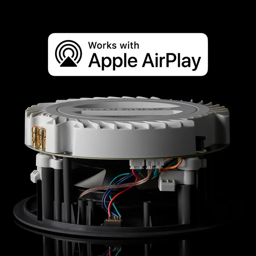 AirPlay 2 i Chromecast