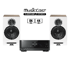RX-V4A  + Debut Reference B6